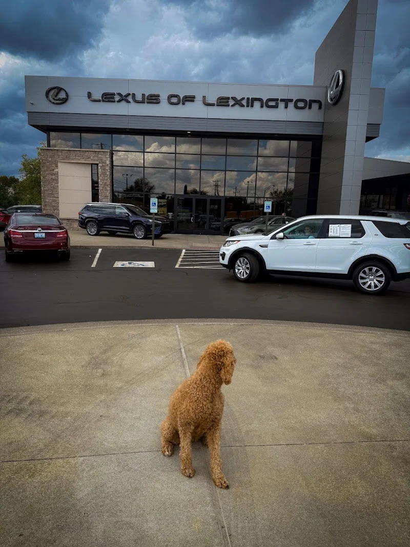 Lexus of Lexington