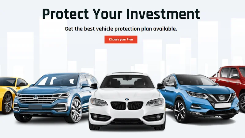 National Vehicle Protection Services, Inc.