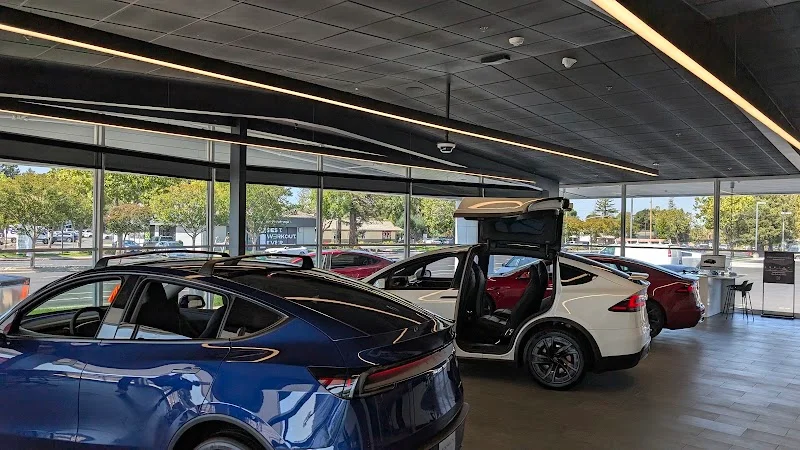 Tesla Owners Silicon Valley